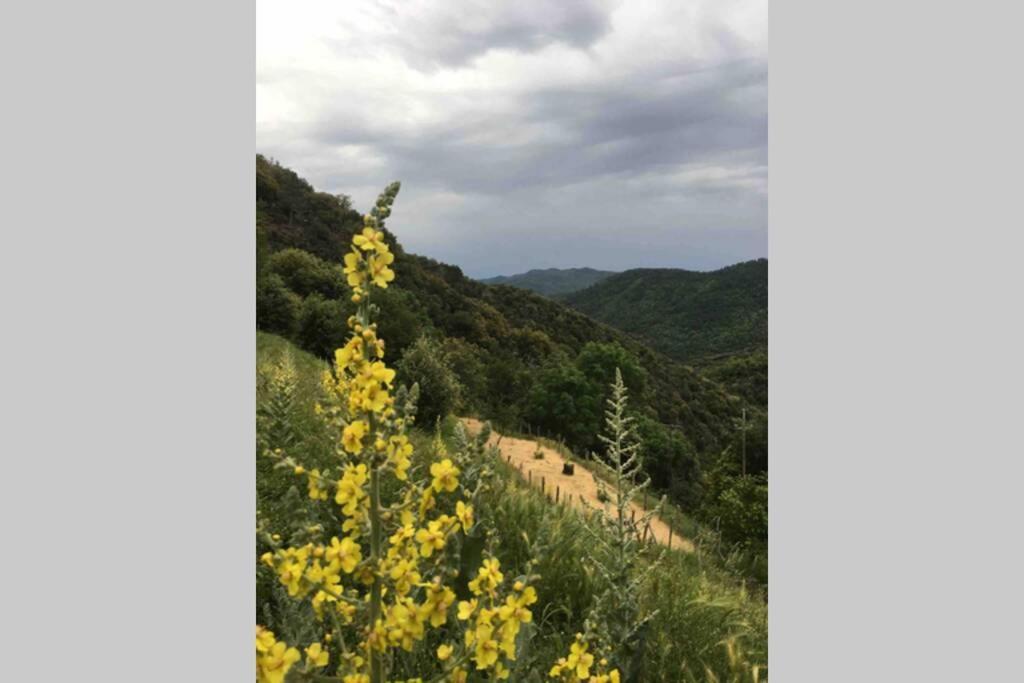 הוילה Le Salson La Pellegrine, Parc National Des Cevennes מראה חיצוני תמונה