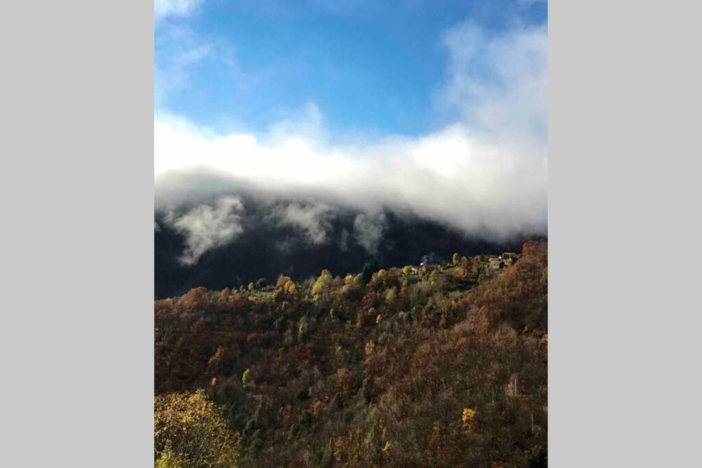 הוילה Le Salson La Pellegrine, Parc National Des Cevennes מראה חיצוני תמונה