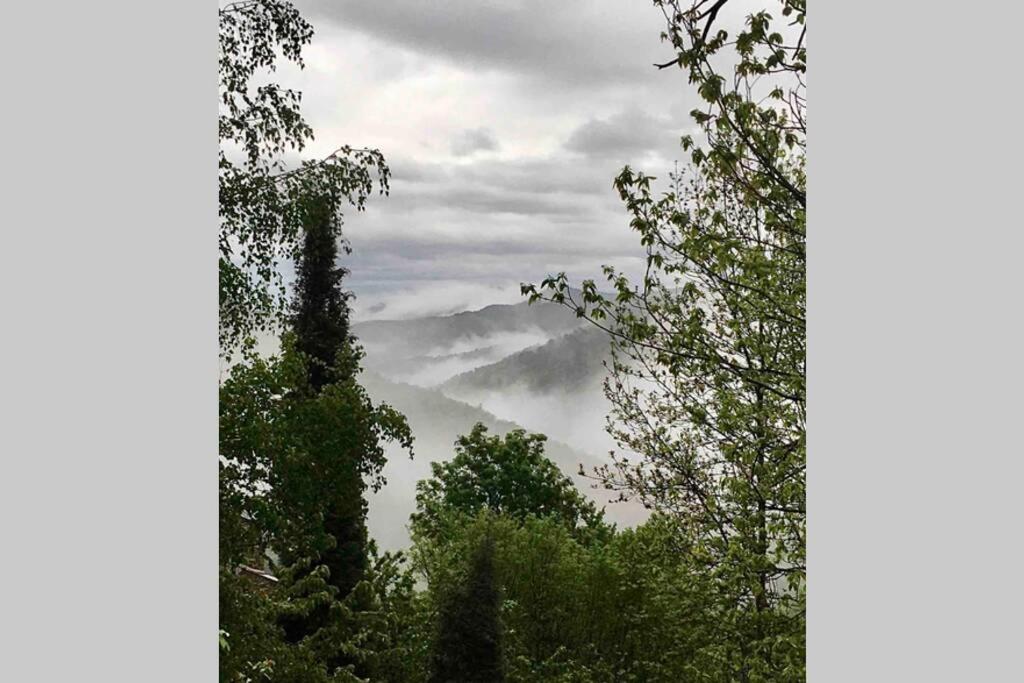 הוילה Le Salson La Pellegrine, Parc National Des Cevennes מראה חיצוני תמונה